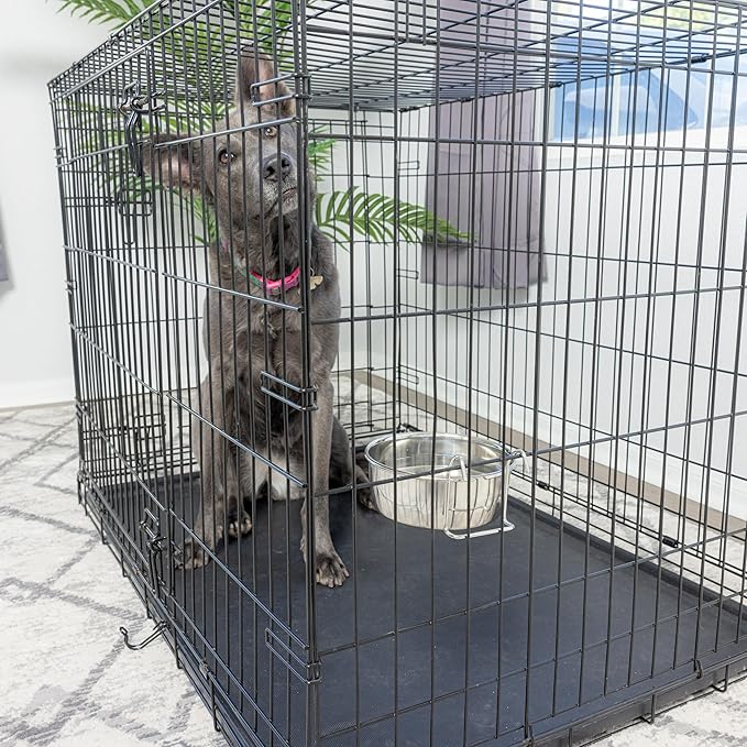 SPOT Coop Cup Wire Hanger - Stainless Steel Hanging Bowl for Pet Crates, Easy Install, Chew-Proof, Removable Water/Kibble Bowl for Medium Dogs, Cats, Large Birds, Reptiles - 3.75 Cups (30 Oz)