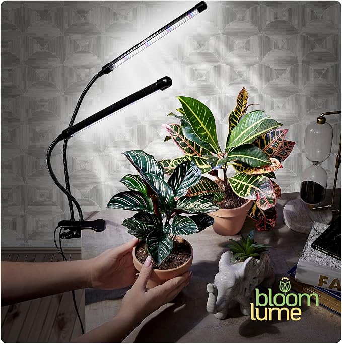 Bloom Lume LED Grow Lights for Indoor Plants Full Spectrum 6000K - Plant Grow Lights Indoor Features Multi Mode Color Spectrums (Red, White & Blue), Dimmable, Auto Timer, Clip on Gooseneck Plant Lamp