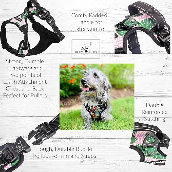 Lucky Love Dog No Pull Dog Harness, Adjustable and Easy to Walk, Cute Patterned Harness for Medium Male & Female Dogs - Laguna, Medium