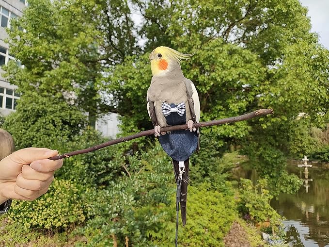 VANFAVORI Bird Diaper Harness Flight Suit Clothes with 80 Inch Flying Leash Rope for Parrots Conure Cockatiel Pet Birds Weight 75-99 Grams,2 Pieces Including Two leashes and Two Cotton Pads