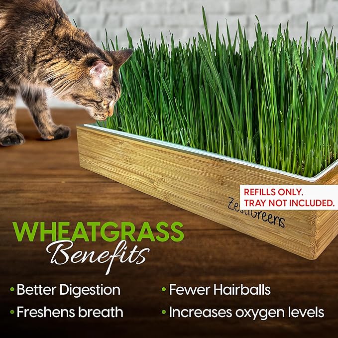 Cat Grass Refills for Self Watering Cat Grass Kit - 4 Mats and 4 Cat Grass Seed Packets (Refill Kit)