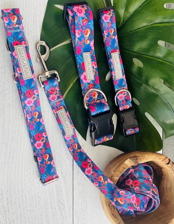 Lucky Love Dog Martingale Dog Collar & Leash - Adjustable, No-Slip, Durable, Comfortable, Soft Webbing, & Stylish Patterned Collar & Leash Set for Male and Female Dogs - Zuzu Combo, Large