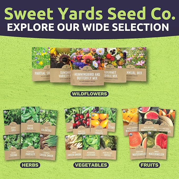 Organic Celery Seeds ‘Tall Utah’ – Two Seed Packets! – Over 1,926 Open Pollinated Heirloom Non-GMO Seeds – Sweet Yards Seed Co.