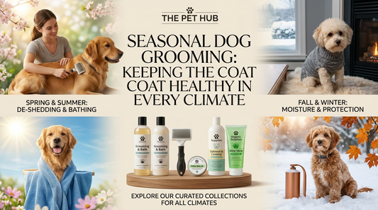 Seasonal Dog Grooming: Keeping the Coat Healthy in Every Climate