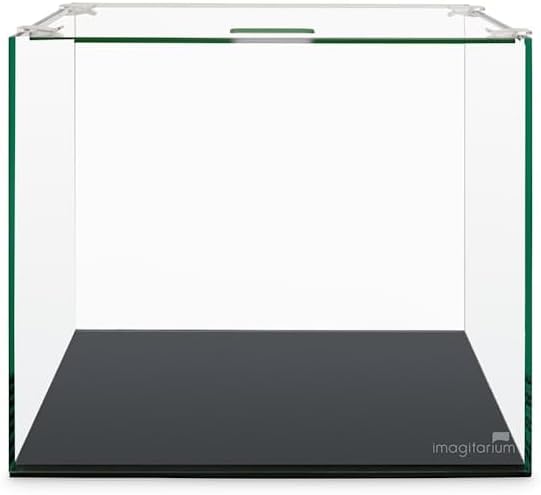 Imagitarium by Petco Glass Betta Aquarium Kit 5 Gallons