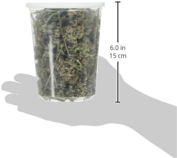 from The Field | Premium Whole Catnip Buds for Cats | Organic, USA-Grown, Fresh & Potent | Natural, Eco-Friendly Cat Treat for Play & Relaxation | Catnip for Indoor Cats | Resealable 1 OZ Tub