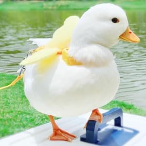 Duck Harness and Adjustable Chicken Walking Harness, Breathable Pet Vest for Duck Chicken Hen Training Walking Basic Leashes[Yellow S]