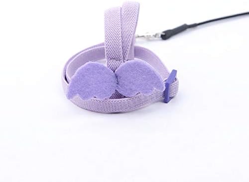 Bird Harness Parrot Leash -Adjustable Outdoor Flying Kit for Parrot Budgie Lovebird Cockatiel Macaw Parakeet (Purple,L)