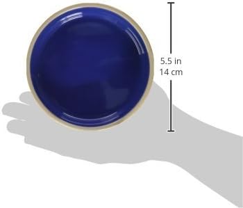 SPOT Ceramic Dish - Whisker-Friendly, Low-Edge Saucer for Cats, Birds, Reptiles, Ideal for Wet or Dry Food, Dishwasher Safe, 5.25-inch Diameter, Capacity: 2 Cups (16 Oz)