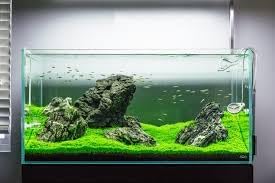 Fluval 50 Power Filter – Aquarium Filter for 20 to 50 Gallon Fish Tanks – Quiet Energy Efficient Pump – Mechanical, Chemical & Biological Filtration – Easy Install & Maintenance (Packaging May Vary)