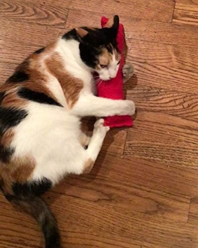 from The Field | Bae The Hemp Body Pillow Cat Toy | USA-Made Kicker Toy with Catnip, Silver Vine & Valerian Root | Durable, Eco-Friendly & Biodegradable | Large 12" for Kicking & Cuddling