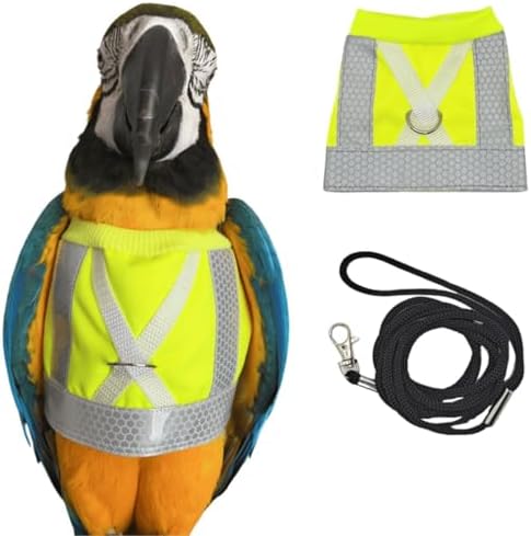 Pet Parrot Bird Harness and Leash, Adjustable Training Design Anti-Bite, Bird Nylon Rope for Parrots, Waterproof and Reflective, Suitable for Macaw Cockatoo Cockatiel Lovebird Conure African Grey (L)