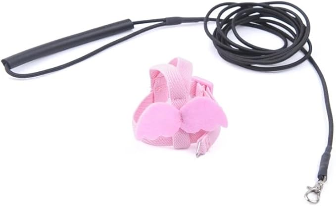 3pcs Parrot Flying Harness Leash Suit Pet Bird Outdoor Flight Training Rope Cockatiel Supplies Macaw Accessories Stuff for Budgie
