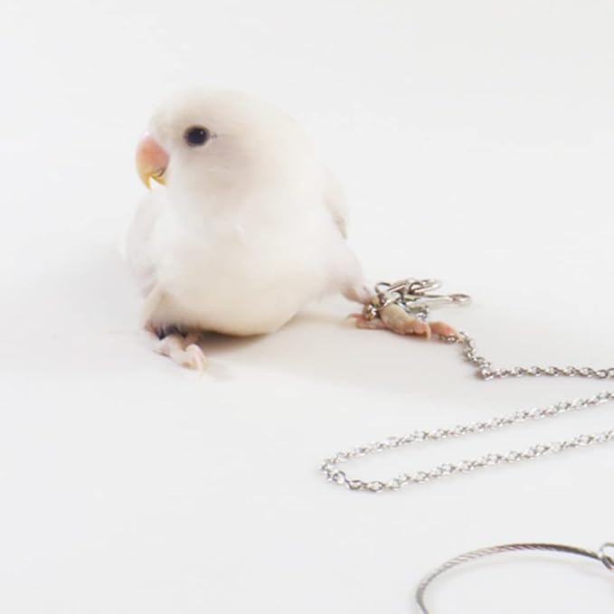 Bird Foot Chain Flying Stainless Steel Training Rope Outdoor Parrot Ankle Foot Ring Accessories Bird Harness Leash Prevent Escaping (6#)