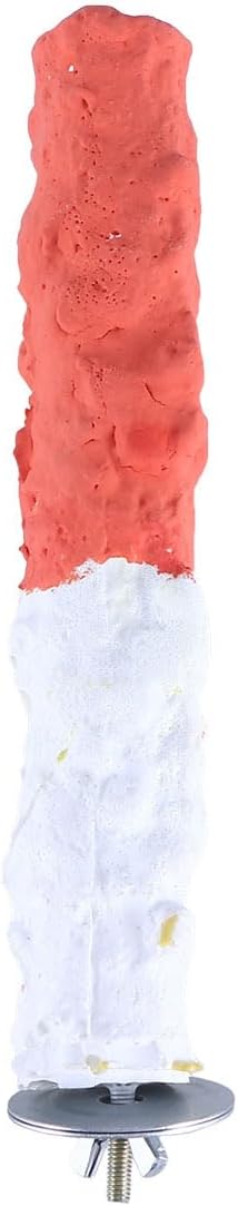 GALPADA High Calcium Cuttlebone Bird Perch for Parrots Natural Fruit Flavor 8-inch Standing Pole for PET Birds Essential Parrot Supplies and Accessories