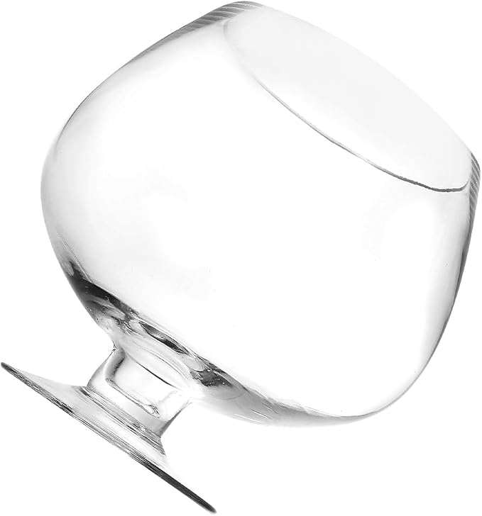 BESPORTBLE Glass Fish Bowl Vase - Clear Bubble Planter Terrarium Fish Bowl Wine Goblet Shaped Vase Transparent Hydroponic Bulb Floral Container