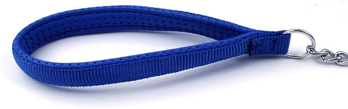 SGODA Metal Chain Heavy Duty Dog Leash, Chew Proof Dog Leash with Soft Handle for Over 50 lbs Large Size Pets Walking(4 ft. x 4.0 mm Blue)