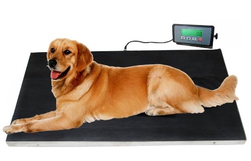Heavy Duty 660 Pounds Veterinary Dog Scale with Stainless Steel Platform and Rubber Mat for Dog Cat Pet Alpaca Llama Sheep Fish Vet