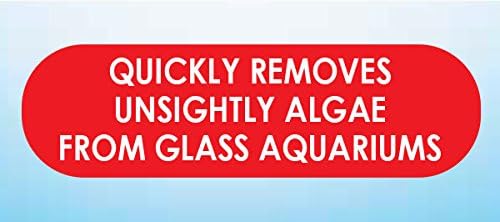 API HAND HELD ALGAE PAD For Glass Aquariums 1-Count Container