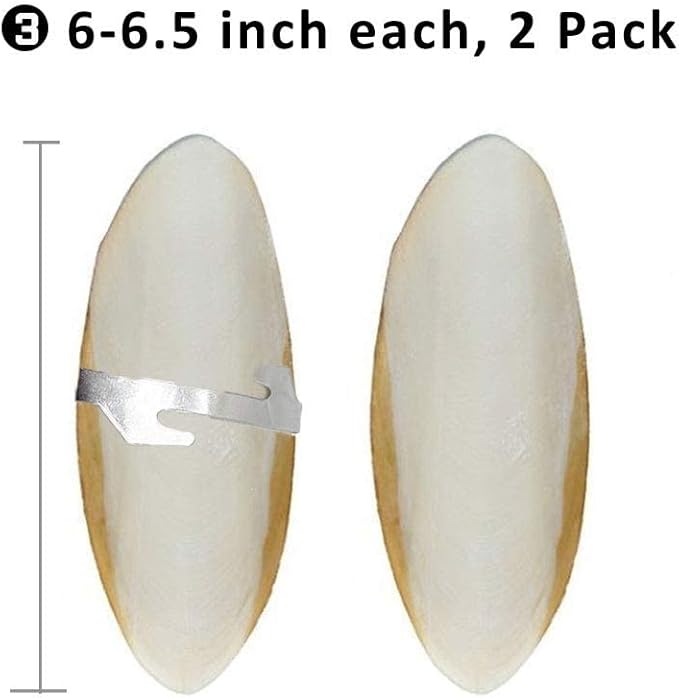 Natural Cuttlebone for Birds Parakeets Canaries Cockatiels Small Conures Mynahs Toucans African Greys All Parrots Snails Totoise, with Holder for Bird Cage (6-6.5 inch,2PCS)