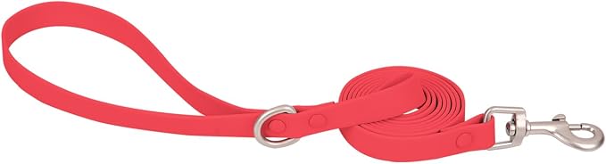 Ovale Waterproof Dog Collar Leash Combo Set, Durable and Easy to Clean, for Small Dogs.(S, Red)