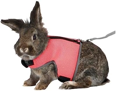 MANON ROSA Rabbit Harness and Leash Set - Adjustable Escape-Proof Training and Walking Gear for Guinea Pigs Bunnies Chinchillas Hamsters Ferrets Rats Kittens and Small Dogs Puppies Cats (Orange Red,M)