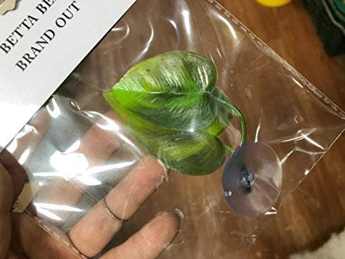 CousDUoBe 4 Pack Betta Fish Leaf Pad Improves Betta's Health by Simulating the Natural Habitat - Natural, Organic, Comfortable Rest Area for Fish Aquarium