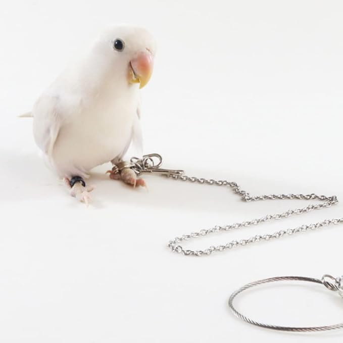 Bird Foot Chain Flying Stainless Steel Training Rope Outdoor Parrot Ankle Foot Ring Accessories Bird Harness Leash Prevent Escaping (6#)