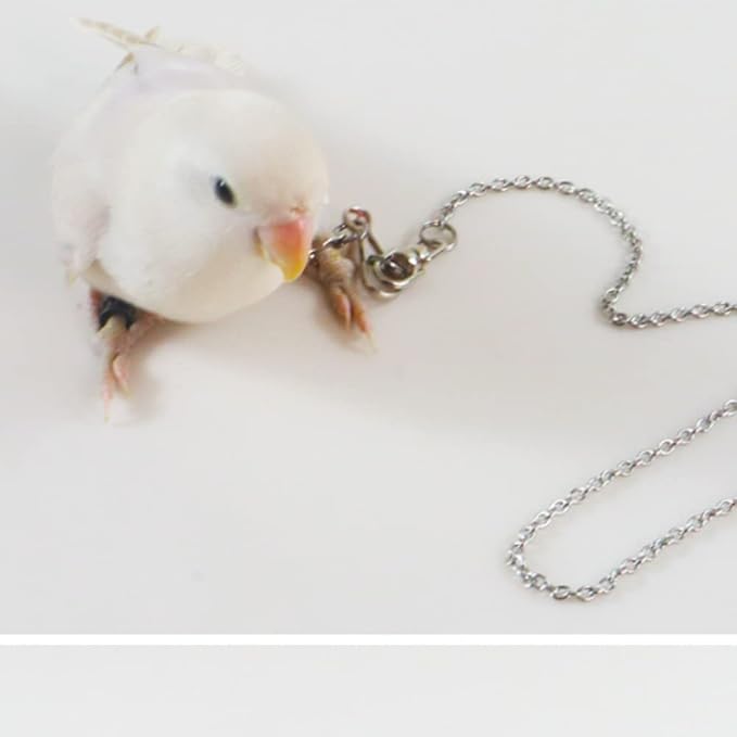 Bird Foot Chain Flying Stainless Steel Training Rope Outdoor Parrot Ankle Foot Ring Accessories Bird Harness Leash Prevent Escaping (7#)