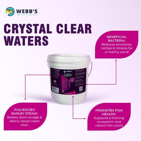 Webb's Water Gardens All-Season Pond Bacteria with Barley Packets - Supports up to 1000 Gallons - 12 Packets for Easy Application - 5 Pounds - Ideal for Clearing Pond Water and Maintaining Fish Health