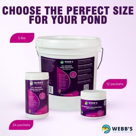 All-Season Beneficial Pond Bacteria with Barley Packets - Bacteria for Ponds Ideal for Clearing Any Fish and Duck Pond Applications - 24 Packet Container- Webb's Water Gardens