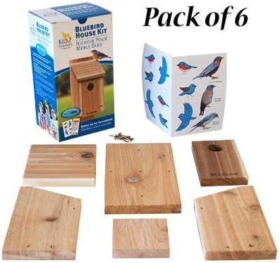 BestNest Club Pack of 6 Woodlink Bluebird House DIY Craft Kits – Precut Wooden Panels & Screws – Easy Assembly Bluebird Nest Boxes for Kids, Scouts, Schools, or Group Crafts – Outdoor Bird Shelter