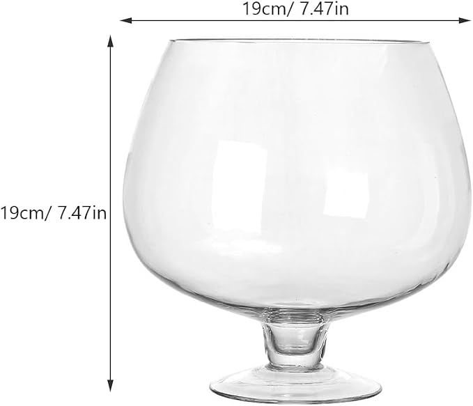 BESPORTBLE Glass Fish Bowl Vase - Clear Bubble Planter Terrarium Fish Bowl Wine Goblet Shaped Vase Transparent Hydroponic Bulb Floral Container