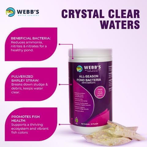 All-Season Beneficial Pond Bacteria with Barley Packets - Bacteria for Ponds Ideal for Clearing Any Fish and Duck Pond Applications - 24 Packet Container- Webb's Water Gardens