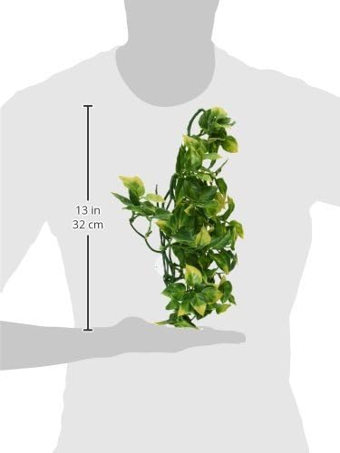 Hagen Exo Terra Plastic Terrarium Plant, Medium, Amapallo