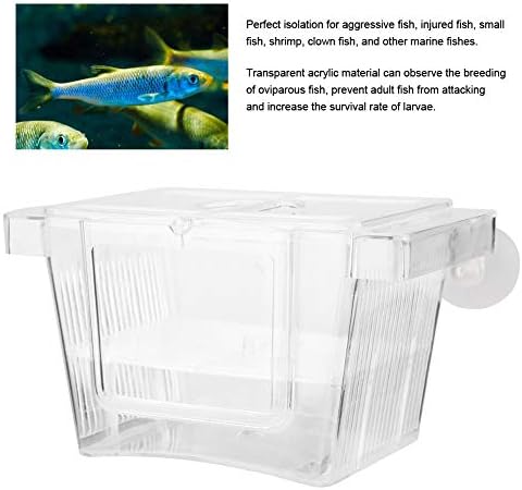 Split Fish Betta 5 Gallon Fish 14 X 8 X 8 Acrylic Aquarium Fish Breeding Box Incubation Box Small Size