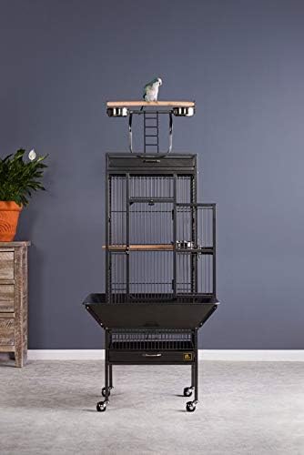 Prevue Pet Products Wrought Iron Select Bird Cage - Durable Steel Cage with Rolling Stand and Seed Guards, Ideal for Cockatiels and Medium Birds - Black Hammertone