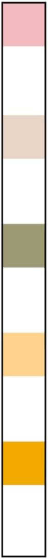 Tetra 5-in-1 Quick Dip Test Strips, 25-Pack (TK888W)
