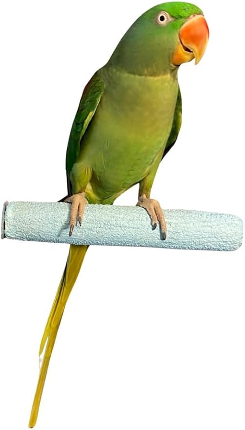 Polly's Pastels Nail Trimming & Beak Conditioning Safety Perch for Cockatiels, Cockatoos, Macaws, Parakeets, Budgies, Parrots and All Other Birds (Blue, Medium-1 1/4" Dia. x 8" Long)