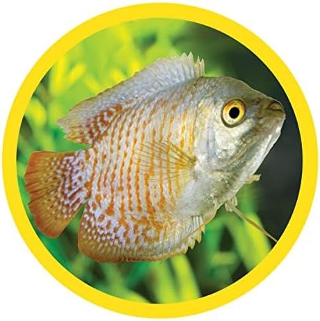 Marineland Bamboo 3 Feet, Décor For Aquariums and Terrariums