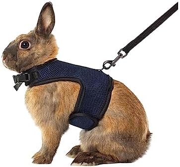 MANON ROSA Rabbit Harness and Leash Set - Adjustable Escape-Proof Training and Walking Gear for Guinea Pigs Bunnies Chinchillas Hamsters Ferrets Rats Kittens and Small Dogs Puppies Cats (Black,XL)