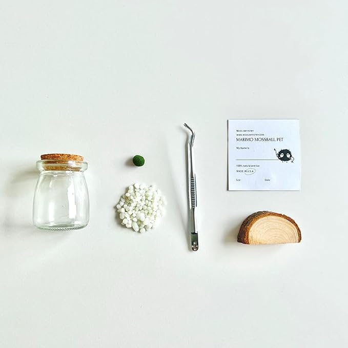 Moss Pet Glass Terrarium Jar Kit with Cork Lid, Mini Desktop Moss Plant Aquarium Decor, Home Ornament Gift
