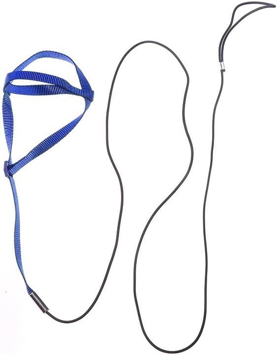 Adjustable Bird Harness and Leash,Anti-Escape Durable Nylon Parrot Harness, Flying Training Rope Parrot Leash for Small Medium Large Breed Parrots Fits Chest Under 24.4'', Blue L