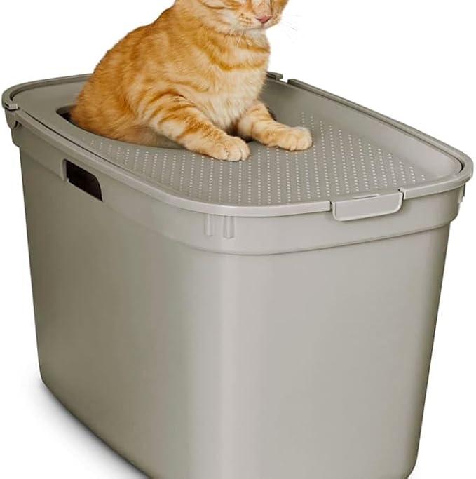 So Phresh by Petco Top-Entry Litter Box Tan 23.2" L X 15.4" W X 15" H