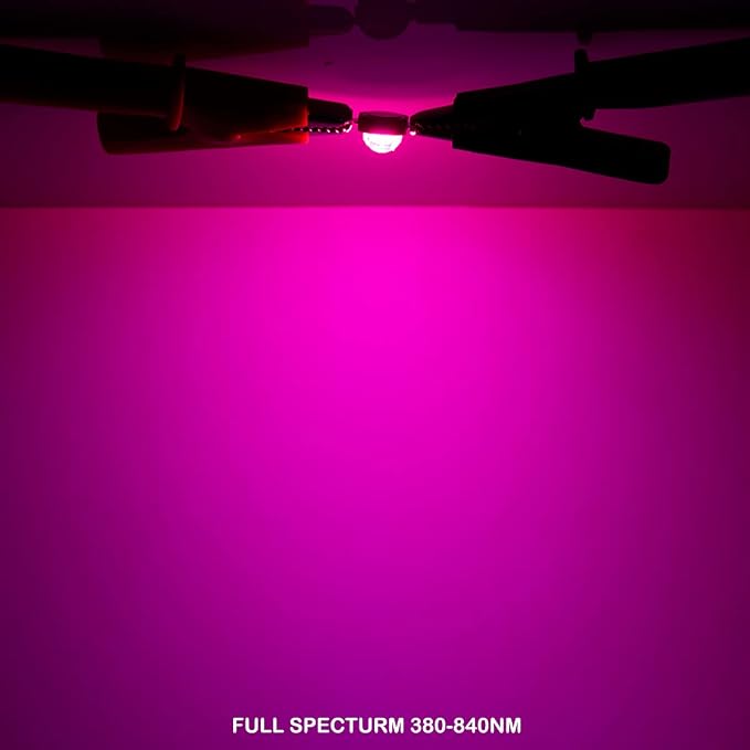 CHANZON High Power Led Chip 10W Full Spectrum Plant Grow Light | (380nm - 840nm / 900mA / DC 9V - 11V / 10 Watt) SMD COB Emitter Diode Components for DIY Hydroponic Flowers Growing