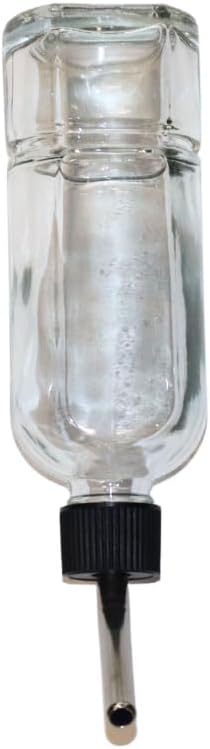 Lixit® Chew Proof Flat Sided Water Bottles for Rabbits, Ferrets, Rats, Birds, Hamsters, Guinea Pigs, Chinchillas Gerbils and Other Small Animals - Made in USA (Clear, 6 Ounce)
