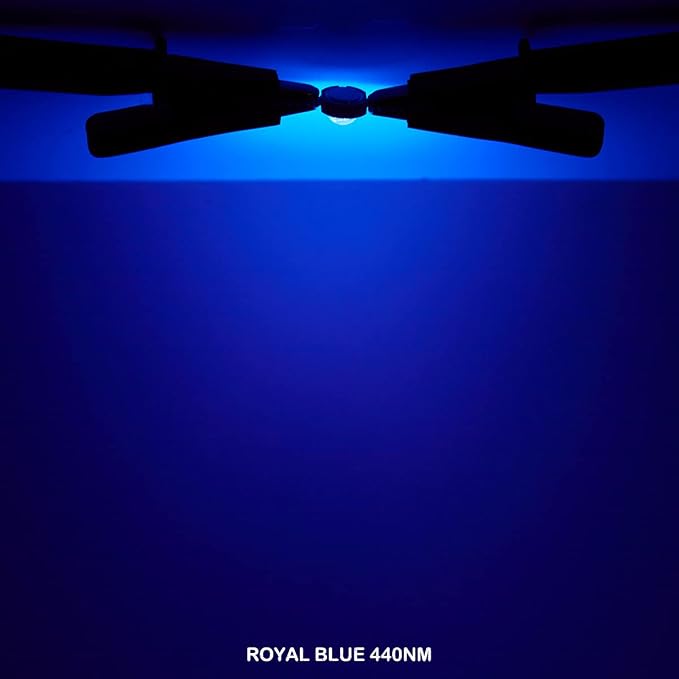 CHANZON High Power Led Chip 10W Royal Blue Plant Grow Light 440nm - 450nm | (900mA / DC 9V - 11V / 10 Watt) SMD COB Emitter Diode Components Bead for DIY Hydroponic Aquarium Growing Lamps