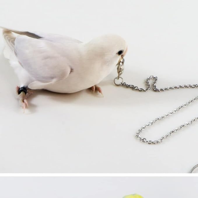 Bird Foot Chain Flying Stainless Steel Training Rope Outdoor Parrot Ankle Foot Ring Accessories Bird Harness Leash Prevent Escaping (5#)