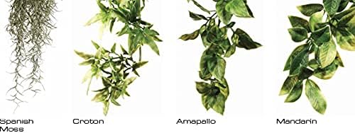 Hagen Exo Terra Plastic Terrarium Plant, Small, Amapallo