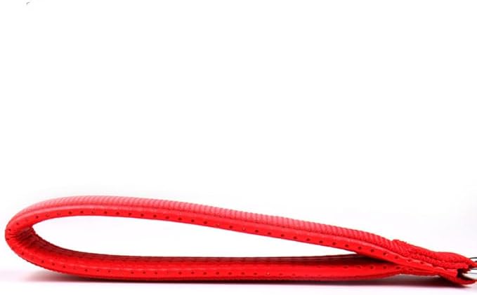SGODA Metal Chain Heavy Duty Dog Leash, Chew Proof Dog Leash with Soft Handle for Large & Medium Size Pets Walking(4 ft. x 3.0 mm Red)
